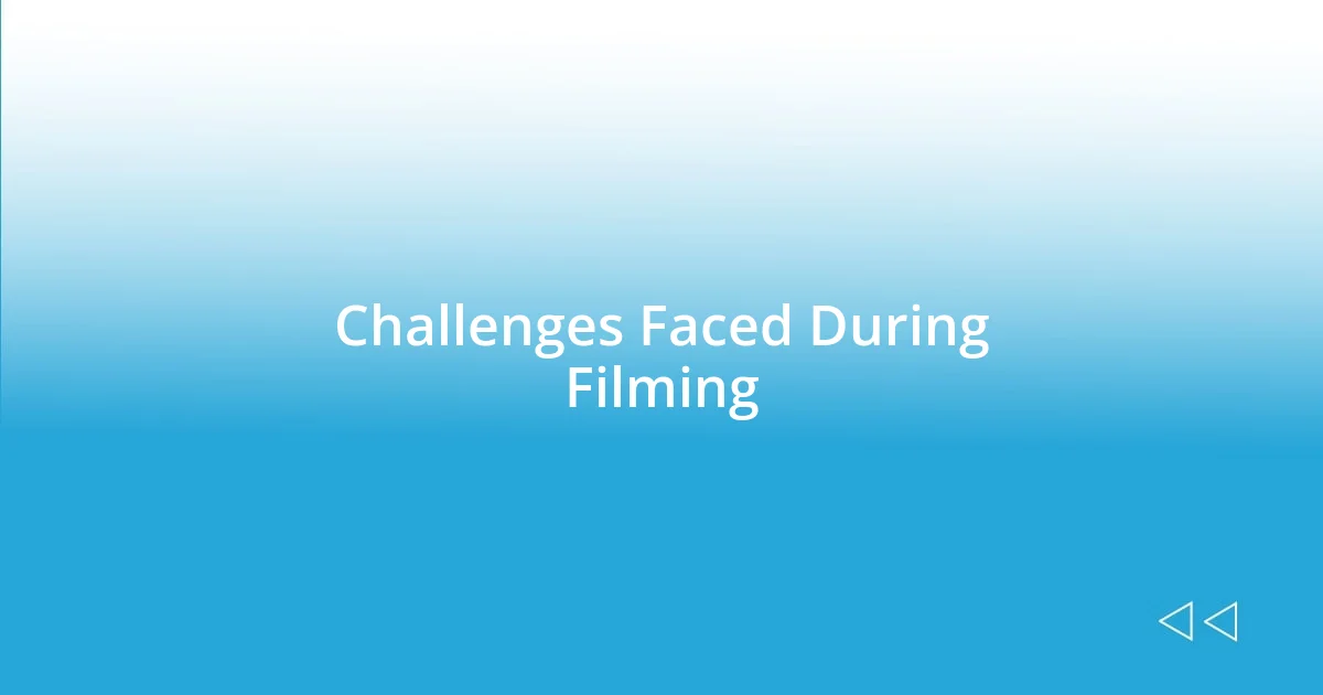 Challenges Faced During Filming